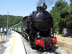 Approvata Legge Ferrovie Turistiche, tra le 18 linee c'è la Ferrovia Silana (1)