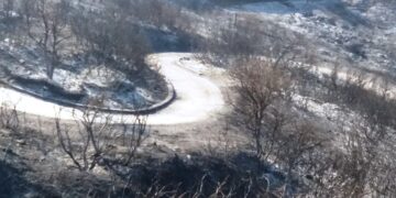 Cirò ancora brucia: distrutto il paesaggio, la flora e la fauna selvatica