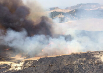 Da fuoco ad alcune sterpaglie e cerca di dileguarsi, Arrestato dai Carabinieri di Strongoli