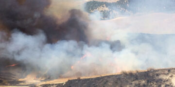 Da fuoco ad alcune sterpaglie e cerca di dileguarsi, Arrestato dai Carabinieri di Strongoli