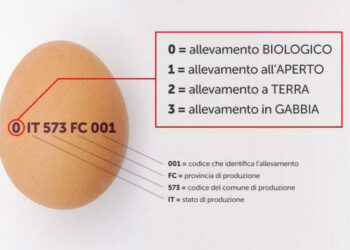 Coldiretti: le uova contaminate rafforzano la richiesta dell’origine obbligatoria su tutti i prodotti agricoli e il cibo