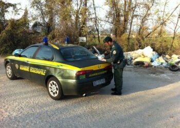 Guardie Ecozoofile: Task Force a Cutro contro l’abbandono di rifiuti