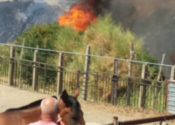 In cenere centinaia di ettari di macchia mediterranea nelle Campagne di Cirò