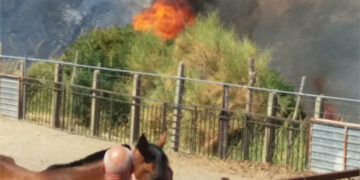 In cenere centinaia di ettari di macchia mediterranea nelle Campagne di Cirò