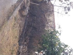 Incendio alle Campanise di Cirò, in pericolo alcune abitazioni1