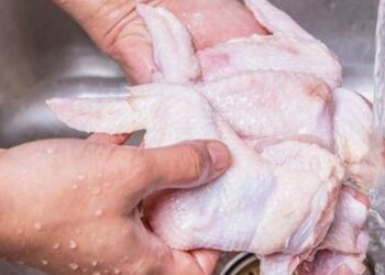 Lavare il pollo crudo, potrebbe causare rischi alla salute