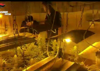 Isola Capo Rizzuto, Serra indoor di marjuana allacciata abusivamente alla rete elettrica pubblica