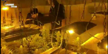Isola Capo Rizzuto, Serra indoor di marjuana allacciata abusivamente alla rete elettrica pubblica