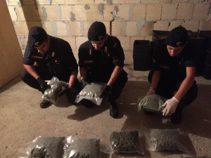 Serra indoor di marjuana a Isola Capo Rizzuto allacciato abusivamente alla rete elettrica pubblica (4)