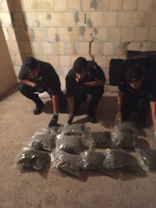 Serra indoor di marjuana a Isola Capo Rizzuto allacciato abusivamente alla rete elettrica pubblica (5)