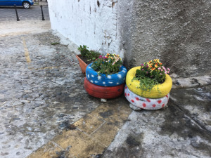 Un fiore anzichè spazzatura, rendiamo bella la nostra Crotone (1)