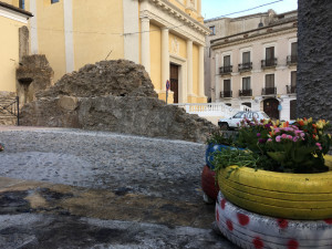 Un fiore anzichè spazzatura, rendiamo bella la nostra Crotone (2)