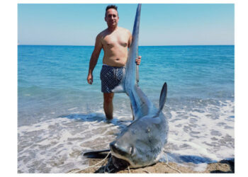 Uno Squalo volpe di 200 chili pescato nelle acque di Strongoli