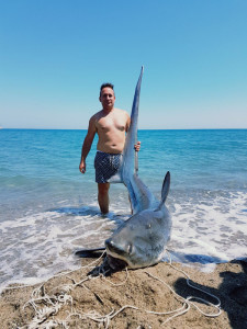Uno Squalo volpe di 200 chili pescato nelle acque di Strongoli1