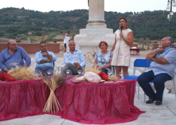Tradizioni di Calabria sostiene la creazione di una filiera corta nel crotonese sul grano Senatore Cappelli
