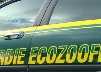 Prevenzione incendi, controlli delle Guardie Ecozoofile di Fareambiente Crotone