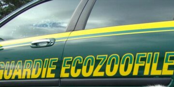 Prevenzione incendi, controlli delle Guardie Ecozoofile di Fareambiente Crotone
