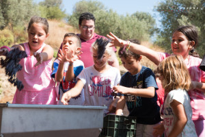Cantine aperte in vendemmia 2017 a Cirò Marina (7)