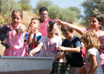 Cantine aperte in vendemmia a Cirò Marina