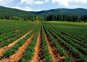 Costituito il Comitato Promotore del ‘Bio-Distretto della Sila’