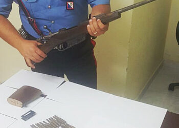 Deteneva un fucile clandestino nascosto nel trattore, arrestato 24enne dai Carabinieri a Scandale