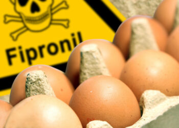 Il caso uova al Fipronil per i consumatori