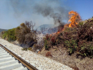 Incendio colposo Pittaffo Crucoli
