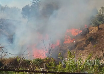 Incendio sulla collina del Santuario di Madonna d’Itria a Cirò Marina, paura per gli abitanti nella zona