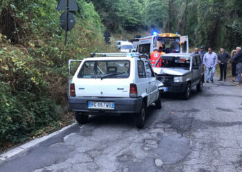 Incidente fra due auto causato dai Cinghiali sulla strada. Coldiretti, appello alla Regione