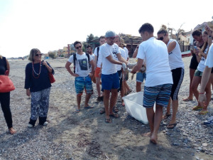 Liberata Tartaruga caretta caretta a Cariati (2)