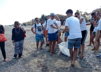 Liberata Tartaruga caretta caretta a Cariati