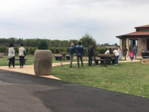 Marrelli Wines grande successo per la prima partecipazione a “Cantine Aperte in Vendemmia” (1)