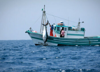 Pesca: Oliverio (PD), dopo 35 anni finalmente legge organica per settore