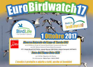 Torna l’Eurobirdwatch in Calabria, il più grande evento europeo nelle riserve della Lipu1