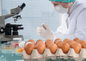 Uova contaminate da Fipronil riscontrate dal servizio veterinario dell’Asp di Lamezia Terme