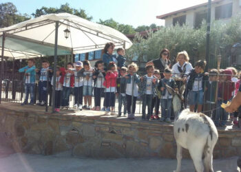 Uscita didattica del Baby Kinder Park per la Giornata internazionale della Pace e del Creato