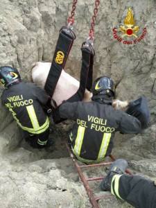 photo_2017-09-04_19-55-29wtmk