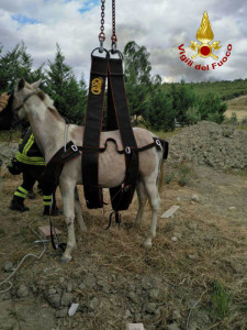 photo_2017-09-04_19-55-41wtmk