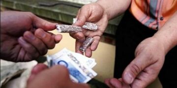 Cirò Marina, denunciato Studente per detenzione ai fini di spaccio di sostanza stupefacente