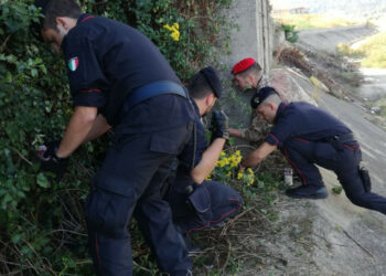 Controlli dei Carabinieri di Crotone, Cirò Marina e Petilia Policastro: rinvenuta droga e munizioni