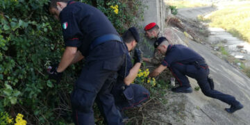 Controlli dei Carabinieri di Crotone, Cirò Marina e Petilia Policastro: rinvenuta droga e munizioni
