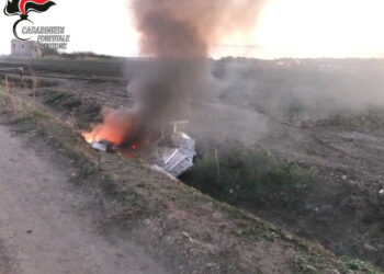 Crotone: Bruciava rifiuti speciali e tossici nel suo fondo agricolo, denunciato agricoltore