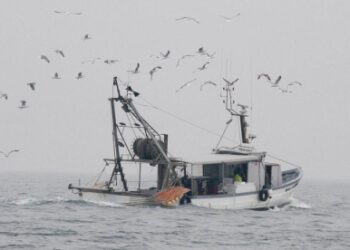 #FaiAscolto, La segreteria della FAI Cisl Calabria avvierà confronti sul territorio con i lavoratori del settore Pesca