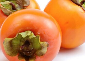 Frutta di stagione: Kaki o Cachi, il pomo dalle sette virtù