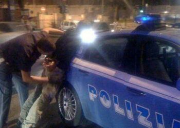 Arrestato nella notte crotonese per spaccio di cocaina