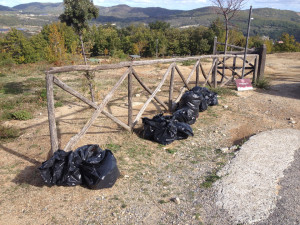 Puliamo il Mondo con le Scuole nel sito archeologico Incavallita - Pietre dell'Elefante di Campana (2)