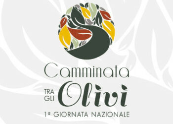 San Basile e Saracena gemellaggio tra gli olivi