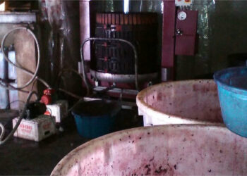 Sicurezza alimentari: Sequestrati 6 quintali di mosto, vino e alimentari, sanzioni per oltre 180 mila euro