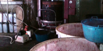 Sicurezza alimentari: Sequestrati 6 quintali di mosto, vino e alimentari, sanzioni per oltre 180 mila euro