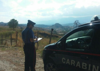 Truffa ai fondi Ue, denunciati due imprenditori per frodi agroalimentari ed erogazioni pubbliche